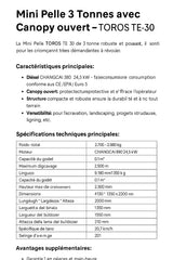Mini escavatore Toros TE-30 3 t 19,6 kW per lavori pesanti - immagine 2
