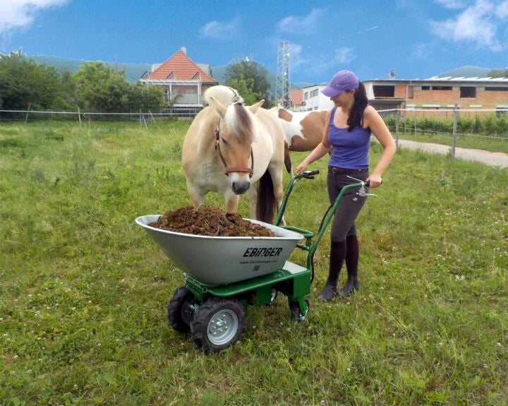 Carriola elettrica Donkey Plus per terreni accidentati - immagine 11